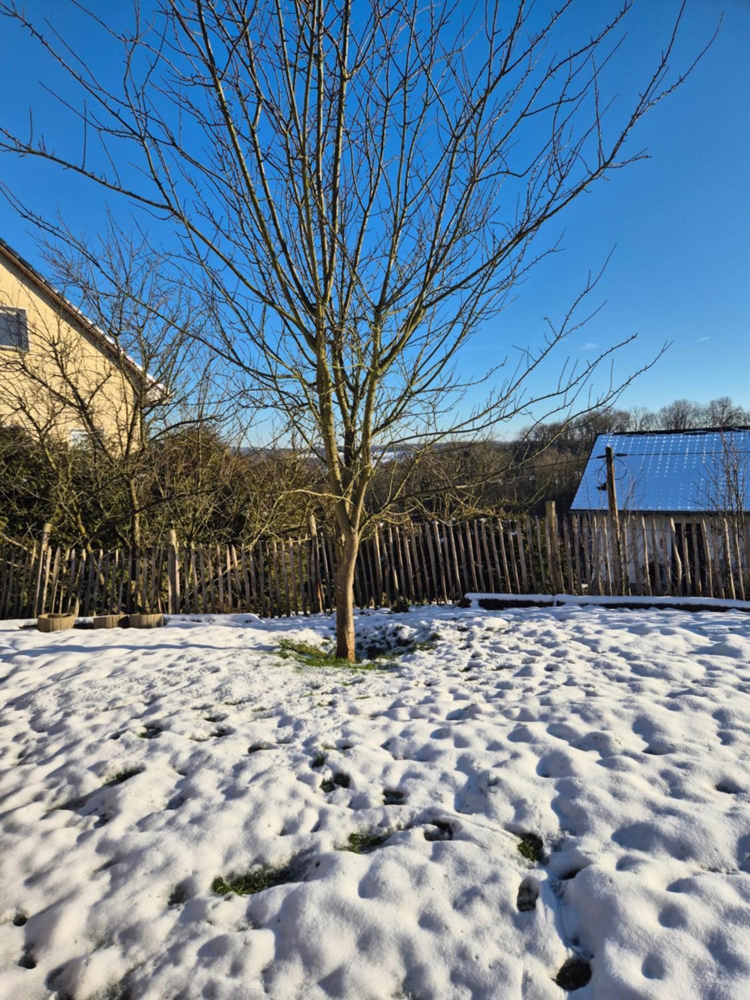 Apartamento Ferienhaeuschen Landleben Pur Much Exterior foto